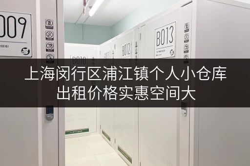 上海闵行区浦江镇个人小仓库出租价格实惠空间大