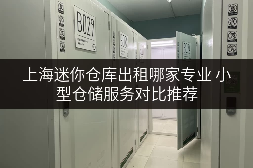 上海迷你仓库出租哪家专业 小型仓储服务对比推荐 上海迷你仓库出租哪家专业 小型仓储服务对比推荐