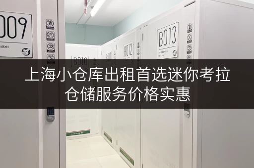 上海小仓库出租首选迷你考拉仓储服务价格实惠 上海小仓库出租首选迷你考拉仓储服务价格实惠