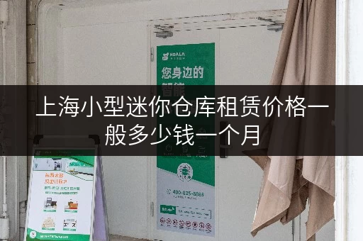 上海小型迷你仓库租赁价格一般多少钱一个月 上海小型迷你仓库租赁价格一般多少钱一个月