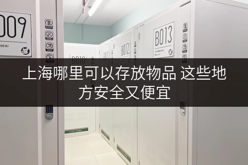 上海哪里可以存放物品 这些地方安全又便宜