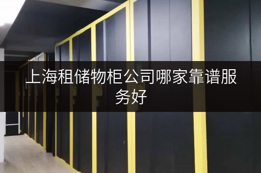 上海租储物柜公司哪家靠谱服务好