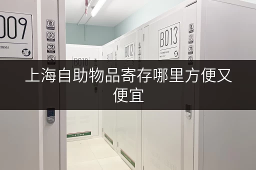 上海自助物品寄存哪里方便又便宜