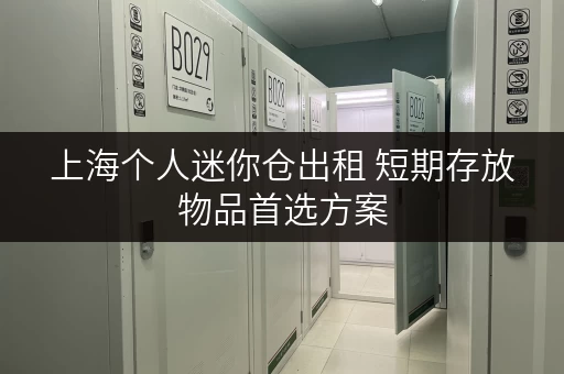 上海个人迷你仓出租 短期存放物品首选方案