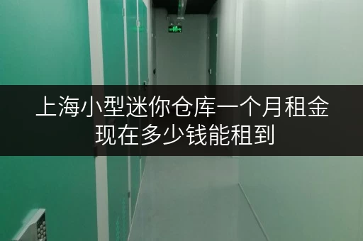 上海小型迷你仓库一个月租金 现在多少钱能租到