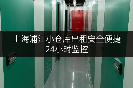 上海浦江小仓库出租安全便捷24小时监控 上海浦江小仓库出租安全便捷24小时监控