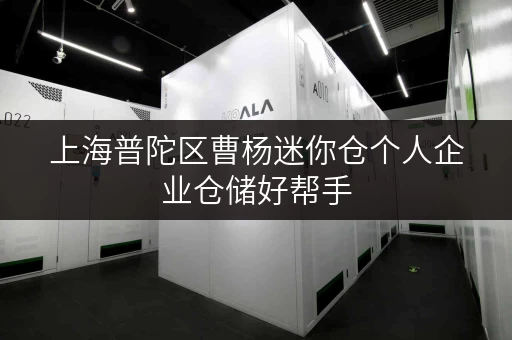 上海普陀区曹杨迷你仓个人企业仓储好帮手