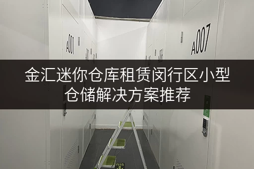 金汇迷你仓库租赁闵行区小型仓储解决方案推荐