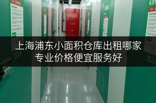 上海浦东小面积仓库出租哪家专业价格便宜服务好