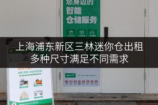 上海浦东新区三林迷你仓出租多种尺寸满足不同需求