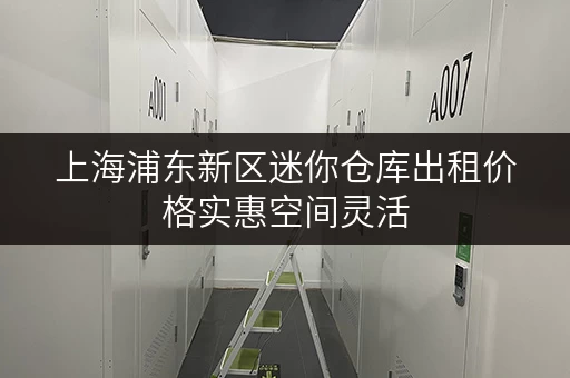 上海浦东新区迷你仓库出租价格实惠空间灵活 上海浦东新区迷你仓库出租价格实惠空间灵活