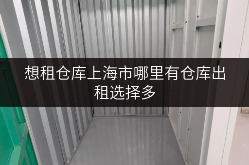 想租仓库上海市哪里有仓库出租选择多