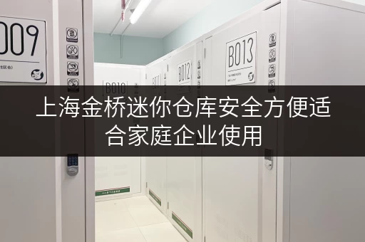上海金桥迷你仓库安全方便适合家庭企业使用 上海金桥迷你仓库安全方便适合家庭企业使用