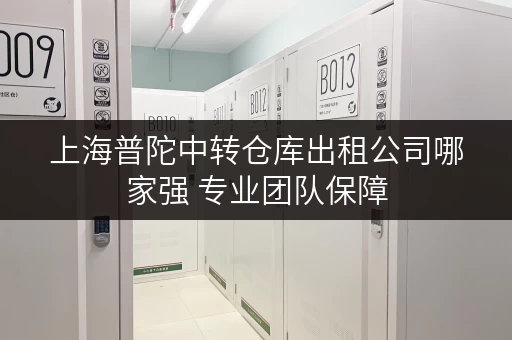 上海普陀中转仓库出租公司哪家强 专业团队保障