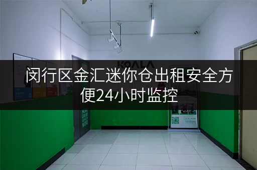 闵行区金汇迷你仓出租安全方便24小时监控