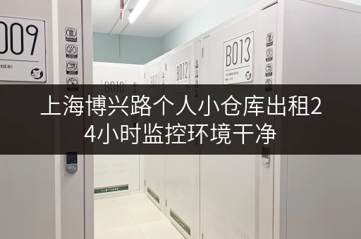 上海博兴路个人小仓库出租24小时监控环境干净