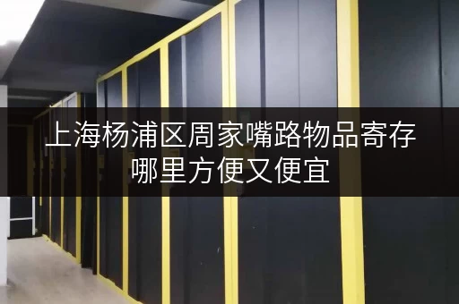 上海杨浦区周家嘴路物品寄存哪里方便又便宜 上海杨浦区周家嘴路物品寄存哪里方便又便宜