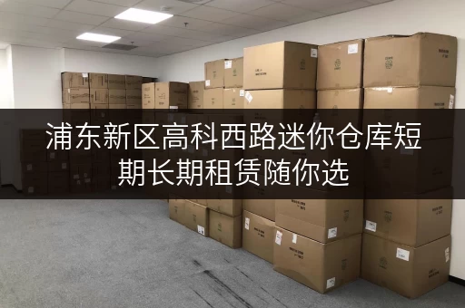 浦东新区高科西路迷你仓库短期长期租赁随你选