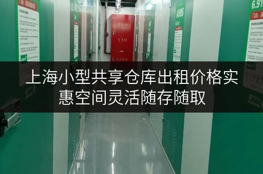 上海小型共享仓库出租价格实惠空间灵活随存随取