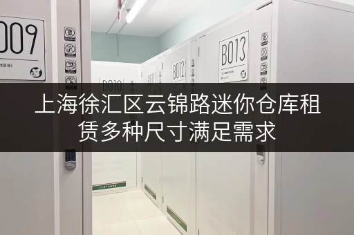 上海徐汇区云锦路迷你仓库租赁多种尺寸满足需求