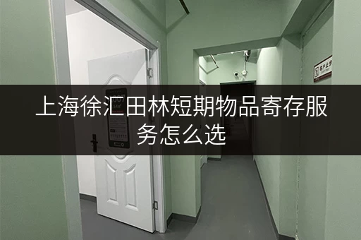 上海徐汇田林短期物品寄存服务怎么选 上海徐汇田林短期物品寄存服务怎么选