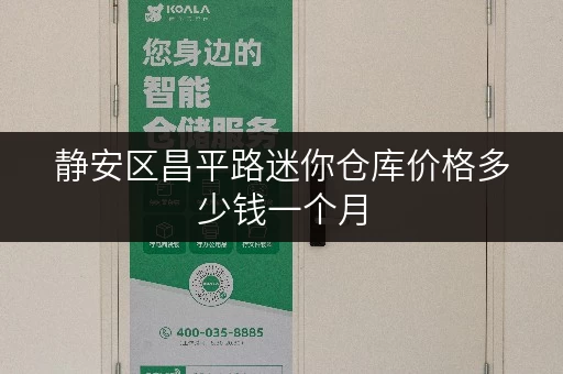 静安区昌平路迷你仓库价格多少钱一个月 静安区昌平路迷你仓库价格多少钱一个月