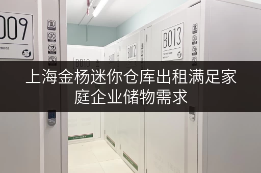 上海金杨迷你仓库出租满足家庭企业储物需求