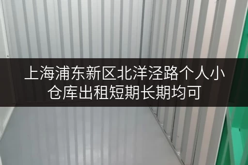 上海浦东新区北洋泾路个人小仓库出租短期长期均可