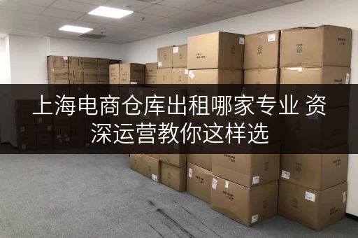 上海电商仓库出租哪家专业 资深运营教你这样选
