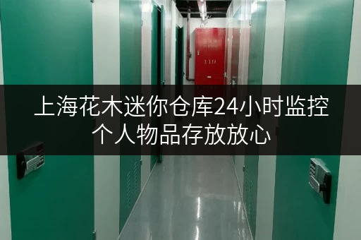 上海花木迷你仓库24小时监控个人物品存放放心