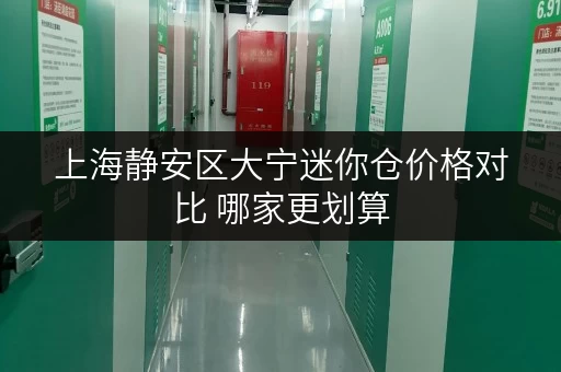 上海静安区大宁迷你仓价格对比 哪家更划算 上海静安区大宁迷你仓价格对比 哪家更划算