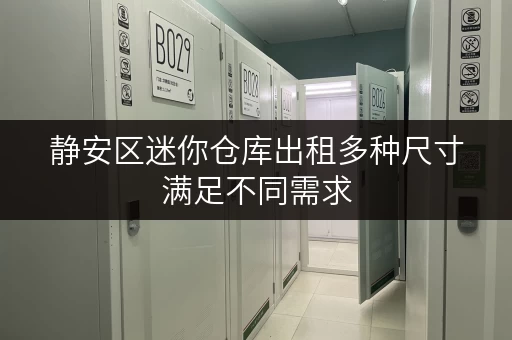 静安区迷你仓库出租多种尺寸满足不同需求