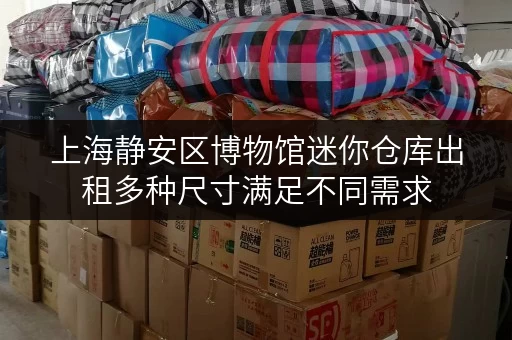 上海静安区博物馆迷你仓库出租多种尺寸满足不同需求