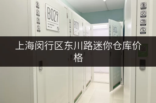 上海闵行区东川路迷你仓库价格