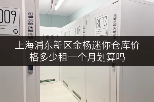 上海浦东新区金杨迷你仓库价格多少租一个月划算吗