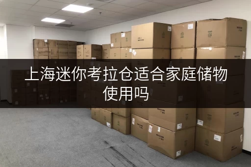 上海迷你考拉仓适合家庭储物使用吗