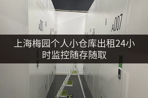 上海梅园个人小仓库出租24小时监控随存随取