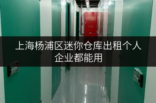 上海杨浦区迷你仓库出租个人企业都能用 上海杨浦区迷你仓库出租个人企业都能用