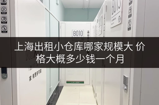 上海出租小仓库哪家规模大 价格大概多少钱一个月