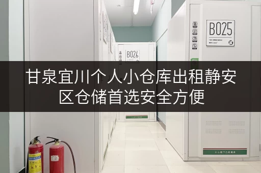 甘泉宜川个人小仓库出租静安区仓储首选安全方便