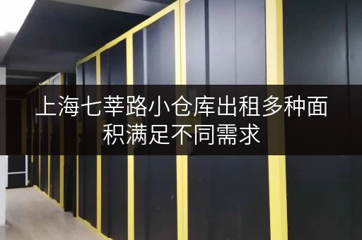 上海七莘路小仓库出租多种面积满足不同需求