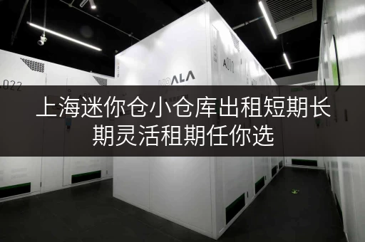 上海迷你仓小仓库出租短期长期灵活租期任你选 上海迷你仓小仓库出租短期长期灵活租期任你选