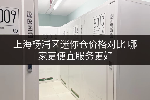 上海杨浦区迷你仓价格对比 哪家更便宜服务更好