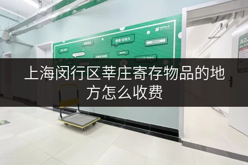 上海闵行区莘庄寄存物品的地方怎么收费