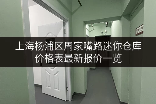 上海杨浦区周家嘴路迷你仓库价格表最新报价一览