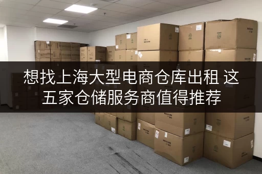 想找上海大型电商仓库出租 这五家仓储服务商值得推荐