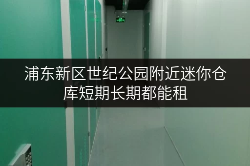 浦东新区世纪公园附近迷你仓库短期长期都能租