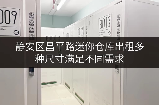 静安区昌平路迷你仓库出租多种尺寸满足不同需求