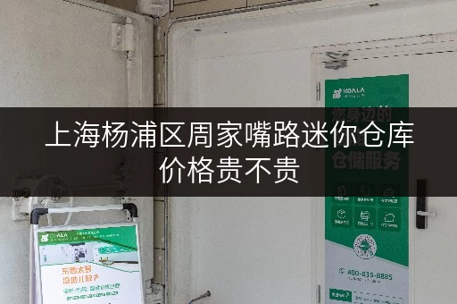 上海杨浦区周家嘴路迷你仓库价格贵不贵