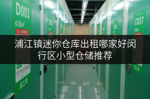浦江镇迷你仓库出租哪家好闵行区小型仓储推荐